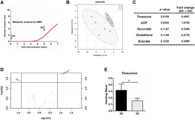 L-Threonine Supplementation During Colitis Onset Delays Disease Recovery